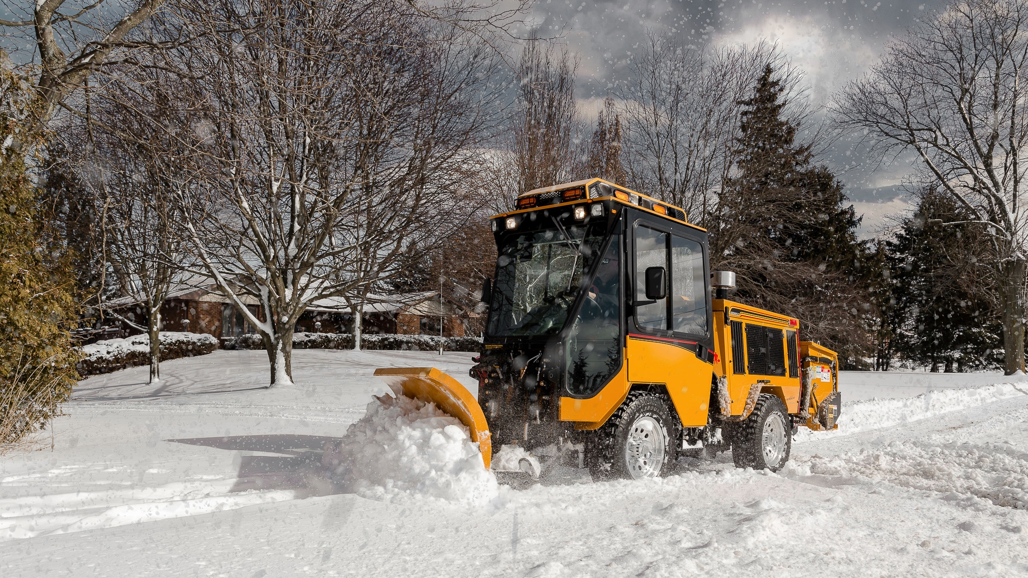 snow1